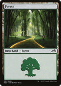 Forest (291)