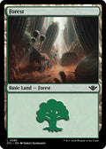 Forest (0285)