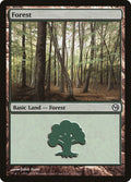 Forest (111)