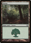Forest (112)